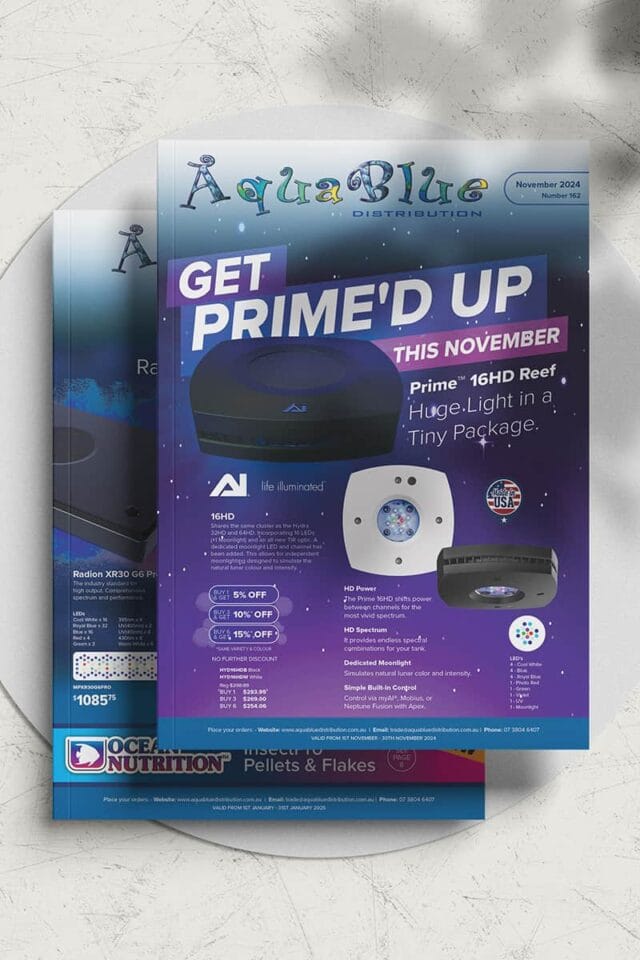 Print design brochures monthly printed and folded Brisbane